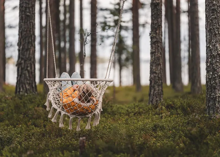 Dream-moekkivaunu Pistocampilla